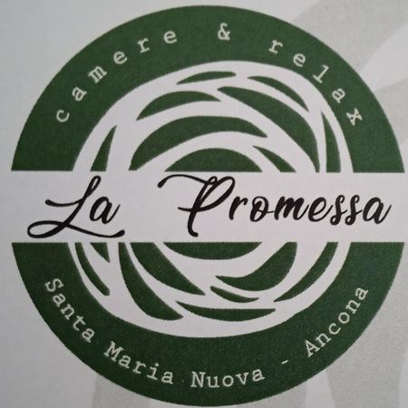 Vila La Promessa Santa Maria Nuova  Exteriér fotografie